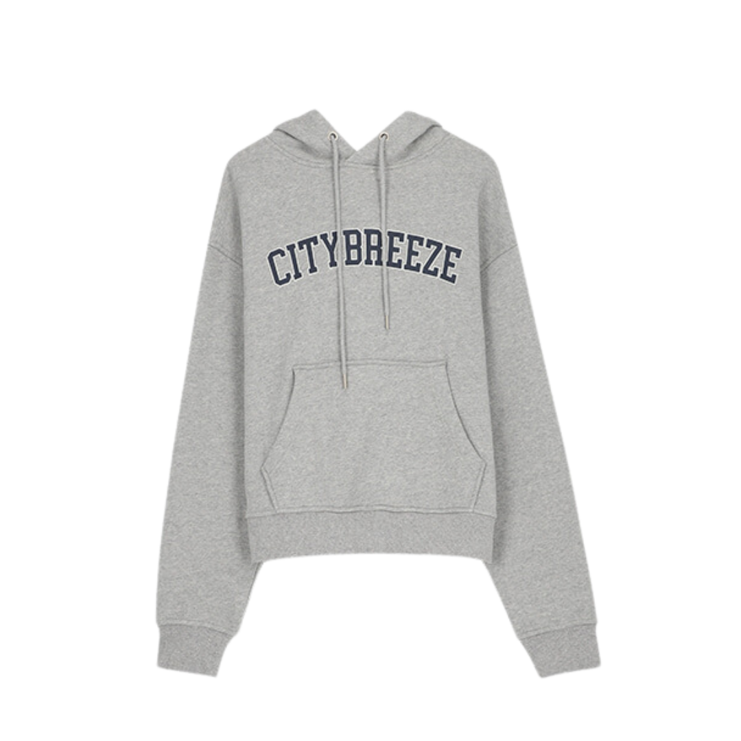 CITYBREEZE 百搭基本款長袖帽T 灰色